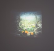 Thumbnail image of "Glass-Scape"
