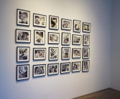 Thumbnail image of "Installation. Shards_Subduction at Robert Miller Gallery"