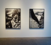 Thumbnail image of "Installation. Shards_Subduction at Robert Miller Gallery"