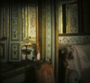 Thumbnail image of ""