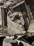 Thumbnail image of ""