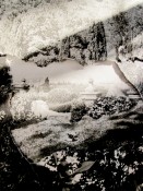 Thumbnail image of ""