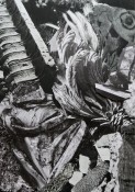 Thumbnail image of ""
