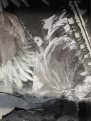 Thumbnail image of ""