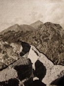 Thumbnail image of ""