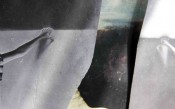 Thumbnail image of ""