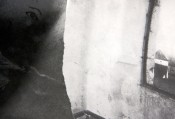 Thumbnail image of ""