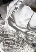 Thumbnail image of ""
